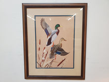 Load image into Gallery viewer, Framed Duck Print