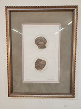Load image into Gallery viewer, Seashells – Framed Wall Décor – Seally 100/250 Olson
