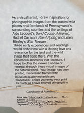 Load image into Gallery viewer, Framed Photograph - Blue Marsh Winter - Cert Of Auth Maggi Brown