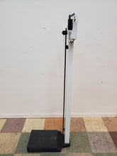 Load image into Gallery viewer, Health O Meter Scale