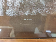 Load image into Gallery viewer, Vintage Tiger With Cub Print In Frame