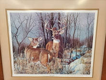 Load image into Gallery viewer, Print in Frame By Jack Paluh - Elusive Trophy – Deer Print