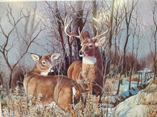 Load image into Gallery viewer, Print in Frame By Jack Paluh - Elusive Trophy – Deer Print