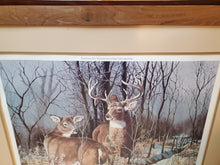 Load image into Gallery viewer, Print in Frame By Jack Paluh - Elusive Trophy – Deer Print