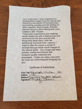 Load image into Gallery viewer, Framed Photograph - Blue Marsh Winter - Cert Of Auth Maggi Brown