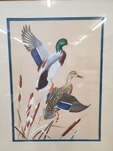 Load image into Gallery viewer, Framed Duck Print