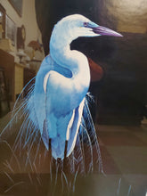 Load image into Gallery viewer, Common Egret In Breeding Plumage - Print In Frame By Michael Budden 36/250