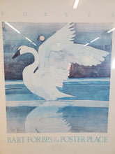 Load image into Gallery viewer, Bart Forbes White Swan Landing On A Glassy Lake - Poster In Frame