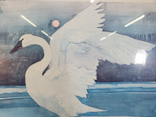 Load image into Gallery viewer, Bart Forbes White Swan Landing On A Glassy Lake - Poster In Frame