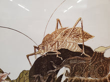 Load image into Gallery viewer, Kitagawa Utamaro – Katydid Print In Frame