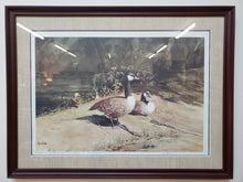 Load image into Gallery viewer, Framed Wall Art Canadian Geese Print By Ken Matz