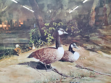 Load image into Gallery viewer, Framed Wall Art Canadian Geese Print By Ken Matz