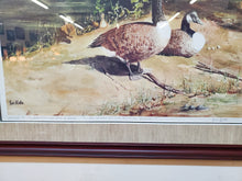 Load image into Gallery viewer, Framed Wall Art Canadian Geese Print By Ken Matz