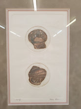 Load image into Gallery viewer, Seashells – Framed Wall Décor – Seally 100/250 Olson
