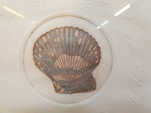 Load image into Gallery viewer, Seashells – Framed Wall Décor – Seally 100/250 Olson
