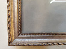 Load image into Gallery viewer, Seashells – Framed Wall Décor – Seally 100/250 Olson
