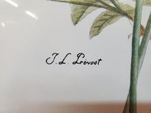 Load image into Gallery viewer, Vintage 1980's JL Prevost Signed Floral Print - Lavender - Iris - Roses - Flower Bouquet - Print In Frame
