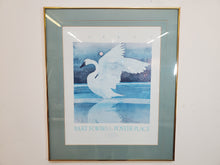 Load image into Gallery viewer, Bart Forbes White Swan Landing On A Glassy Lake - Poster In Frame
