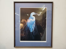 Load image into Gallery viewer, Common Egret In Breeding Plumage - Print In Frame By Michael Budden 36/250
